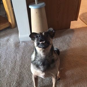 Meet your Posher, Crystal